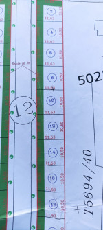 Photo profil de Faycal M