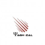 Photo profil de Yaghozal A