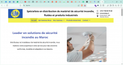 Développement et maintenance de plus de 100 sites web avec ZwiiCMS.
