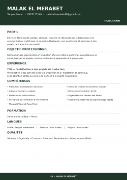 Création et Design d'un CV Étudiant Professionnel