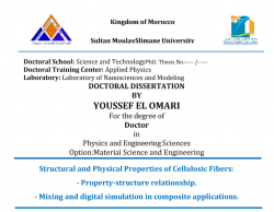 thèse:Structural and Physical Properties of Cellulosic Fibers