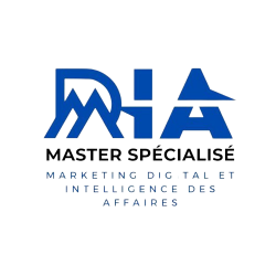 Master Marketing Digital – L'Excellence Académique à FSJES Ain Sebaa