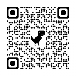 Création de site Shopify professionnel
