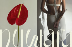 Branding for a flower brand