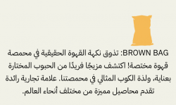 Brand Strategy & Experience Design: BROWN BAG