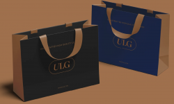 Refonte Stratégique & Identité de Marque: ULG