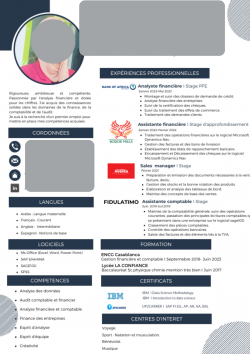 curriculum vitae