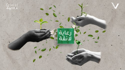 Motion Graphics Collage for Legal Content Marketing