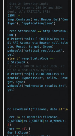Scanner de Vulnérabilités API (Golang).