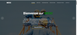 MESC - Engineering Consultancy